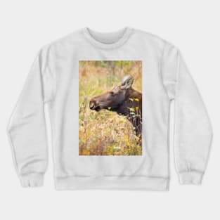 Moose profile, Algonquin Park, Canada Crewneck Sweatshirt